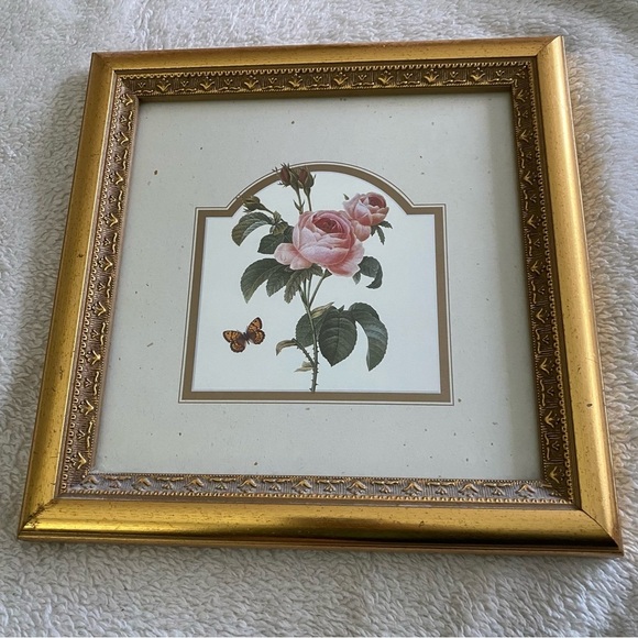 Garden Rose Botanical Illustration Print with butterfly gold frame 10x10 inch - Picture 1 of 5